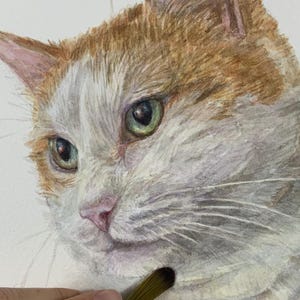 COMMISSIONE gatto acquerello