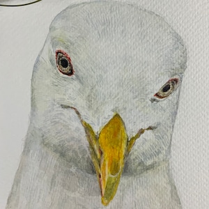 Hand-painted watercolour painting. Seagull