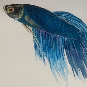 Grande dipinto ad acquerello originale di un pesce Betta. Acquerelli puri. Pesce combattente. Splendida opera d'arte murale più grande della vita.