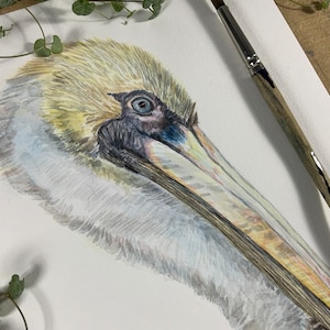Dipinto ad acquerello originale (uno su uno) su A4. Riceverai l'ORIGINALE. Arte murale realistica del pellicano bruno. Ritratto dipinto a mano