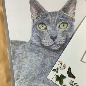 Dipinto esclusivamente ad acquerello, dipinto a mano in uno stile realistico e dettagliato. Commissiona un ritratto di un animale amato su carta Arches.