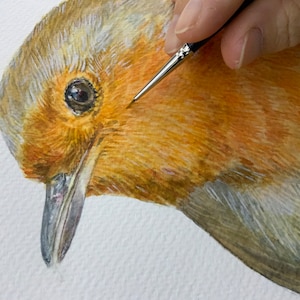 Ritratto originale (uno su uno) ad acquerello su carta Arches. Dipinto a mano con colori professionali. Pettirosso europeo realistico più grande della vita