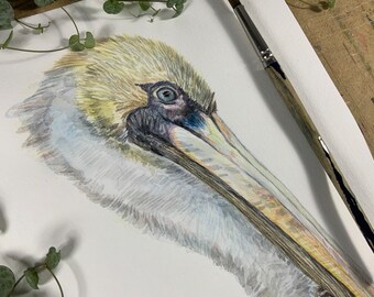 Brown Pelicans detailed watercolor painting. Collector’s Giclee print of my Original. Pelican Wall art Realistic art. Custom sizes available