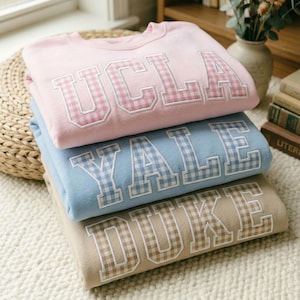 Custom School Acronym Varsity Sweatshirt, Embroidered University Letters Crewneck, Personalized Team Spirit Shirt, College Commitment