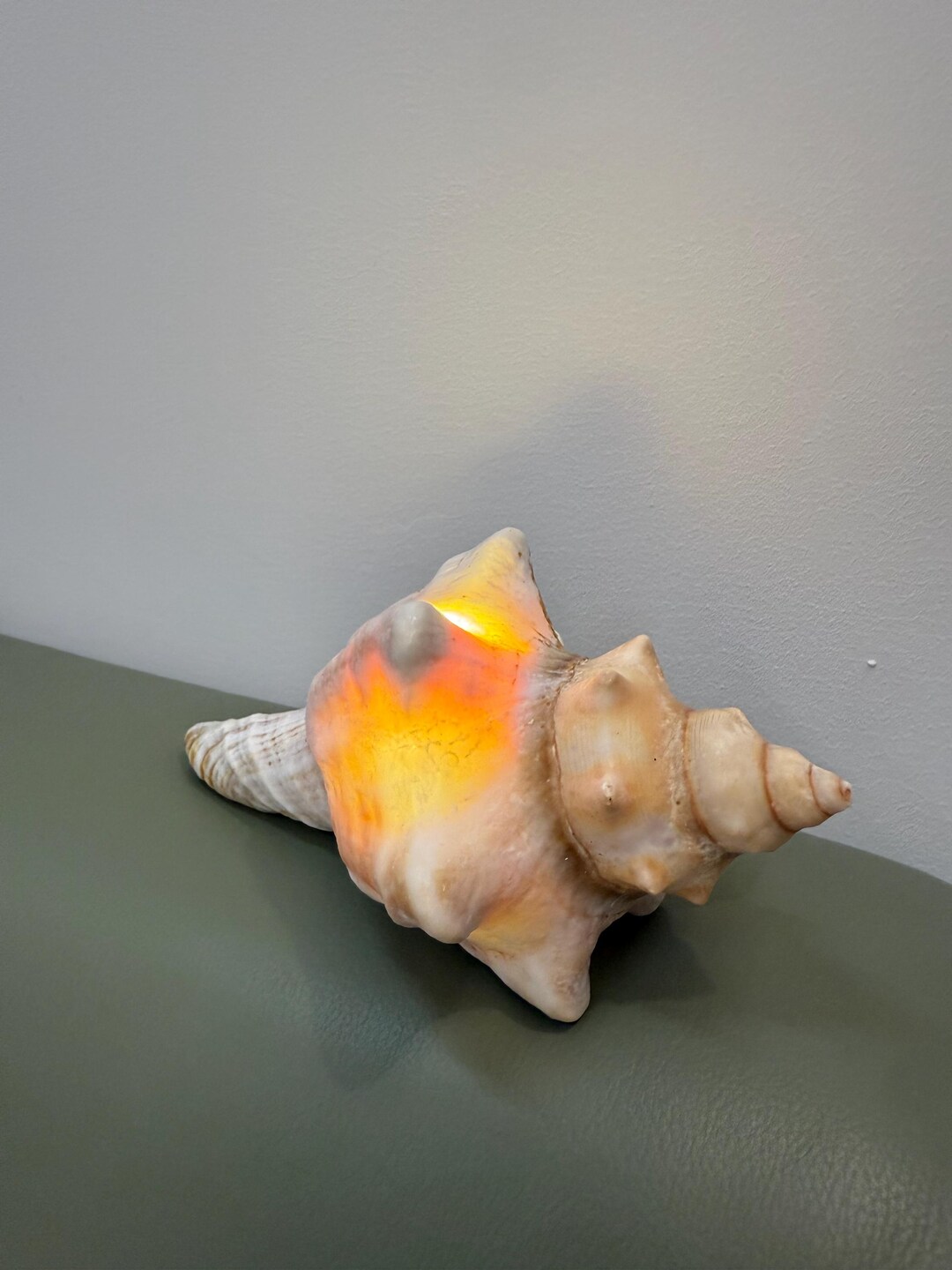 Glowing Conch Shell Lamp, Seashell Ambient Light, Coastal Gift Decor - Etsy