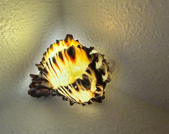 Handgemaakte schelplamp, kusttafelnachtlampje met warme gloed