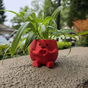 Heart Hands Planter STL | Cute Flower Pot 3D Print File | Love Planter | Romantic Home Decor | Bambu Lab Compatible STL