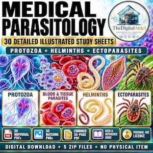 May include: A digital study guide titled Medical Parasitology featuring 30 illustrated sheets. The graphic displays various protozoa, helminths, and ectoparasites alongside blood cells. Includes icons for 30 PDFs, 30 PNGs, a reference guide, and a personal-use license.