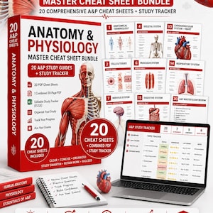 May include: An Anatomy & Physiology master cheat sheet bundle featuring 20 study guides and a study tracker. The set includes PDF cheat sheets, a combined 20-page PDF, and an editable XLSX study tracker. Visuals include anatomical diagrams of the human body, heart, and systems, displayed on a laptop screen and printed pages.