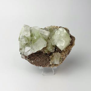 Rare Green Apophyllite Crystal Cluster on Matrix | Premium Translucent Mineral Specimen | Collector Quality Display | Natural Crystal Decor