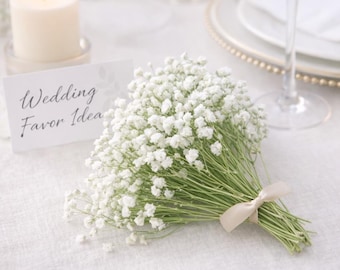 Fresh Cut Baby's Breath – droogt natuurlijk tijdens transport – 100 stelen