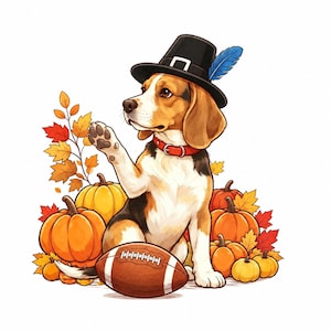 Könnte beinhalten: Ein Beagle-Hund mit einem schwarzen Pilgerhut und einer blauen Feder, der zwischen orangefarbenen Kürbissen und Herbstblättern sitzt. Ein braun-weißer Football liegt vor dem Hund, der eine Pfote in einer winkenden Geste hebt.