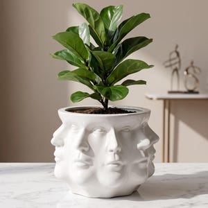 Abstract Face Planter Pot, Multi Face Resin Succulent Planter, Unique Head Flower Pot, Modern Indoor Plant Pot, Artistic Home Decor Gift