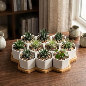 May include: A collection of nine white hexagonal ceramic planters arranged in a honeycomb pattern on a matching bamboo tray. Each planter contains a small succulent or air plant nestled in decorative pebbles, creating a cohesive display.