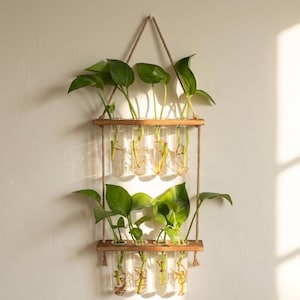 May include: A wall-mounted plant holder with two wooden shelves and clear glass tubes. Green leafy plants are placed in the tubes, suspended by natural rope. The wooden shelves are rectangular and have a natural wood finish.