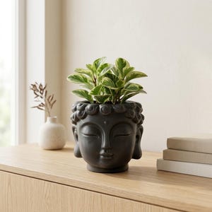 May include: A matte charcoal gray ceramic planter shaped like a serene Buddha head, featuring closed eyes and stylized hair curls. A small green and cream variegated peperomia plant grows from the top of the head, creating a lush foliage display.