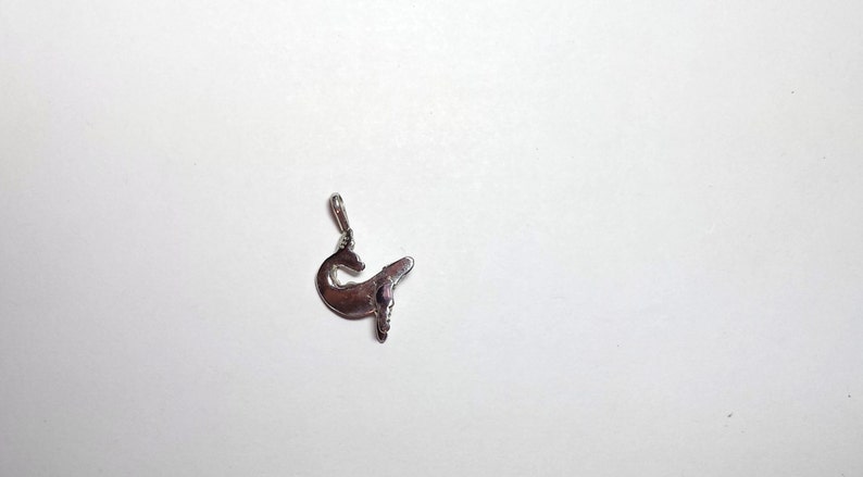 Humpback Whale charm or pendant in Silver
