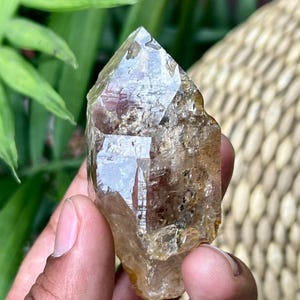 Ganesh Himal Quartz Crystal Point | Natural Raw Specimen with Mica Inclusions