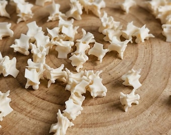 Echte slangenwervels botten taxidermiebenodigdheden, natuurlijke osteologiemonster losse botkralen voor het maken van sieraden - ethisch verantwoord