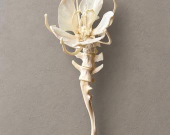 May include: A decorative sculpture featuring an off-white, bone-like structure that transitions from a segmented spinal column at the base into a complex, multi-petaled flower form at the top, with thin, curved, skeletal-like extensions radiating outward.