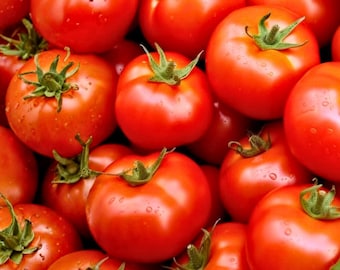 Semillas de tomate cherry grande – 50 tomates reliquia – Tomates rojos dulces para el jardín