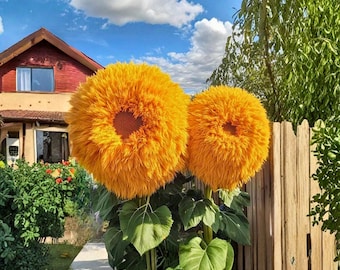 Semillas de girasol gigante Teddy Bear – 50 girasoles amarillos raros – Planta ornamental de doble flor grande