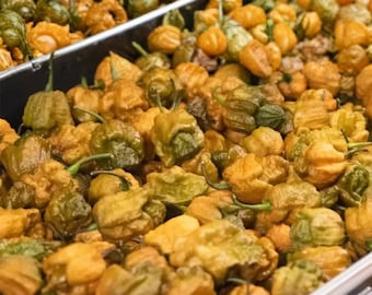 25 semillas de pimientos extremadamente picantes: plantación de chiles picantes en el jardín: pimientos rojos picantes estilo reliquia