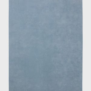 Sky blue minimalist plush area rug in modern living room with wooden floor and chair, soft solid carpet decor