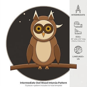 May include: An intermediate level owl wood intarsia pattern featuring a brown owl with large yellow eyes perched on a branch against a dark circular background. The pattern includes 15 pieces and measures 45 inches wide by 55 inches long.