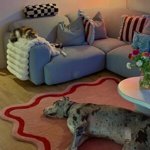 5×8ft Pink Wavy Handmade Tufted Rug, Irregular Squiggly Area Rug, Funky Danish Pastel Home Decor, Cute Maximalist Aesthetic Rug 6×9/7×10. image 6