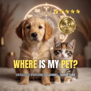迷子ペットのホラリー占い｜行方不明ペット捜索 - 動物の居場所とエネルギー追跡