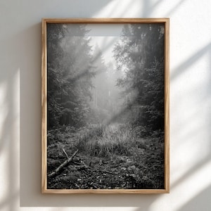 Puede incluir: Una impresión de arte mural enmarcada en blanco y negro que representa un bosque denso y brumoso. La composición presenta árboles altos y oscuros que flanquean un camino central cubierto de hierbas altas, con una rama caída en el primer plano.