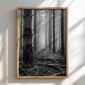 Morning Mist Print | Black and White Pine Forest Wall Art | Foggy Nature Poster | Woodland Wall Decor | Serenity Gift