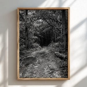 May include: A black and white framed wall art print featuring a dirt path winding through a dense forest. The scene includes tall trees, exposed tree roots along the ground, a small puddle on the path, and a fallen log resting on the forest floor.