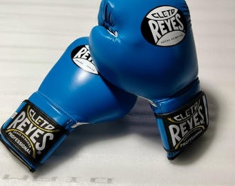 Cleto Reyes Boxhandschuhe - Rindsleder Trainingsmaterial in verschiedenen Farben