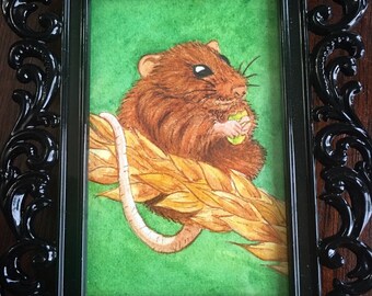 Tiny Harvest Mouse Watercolor Painting 2x3 inches Framed