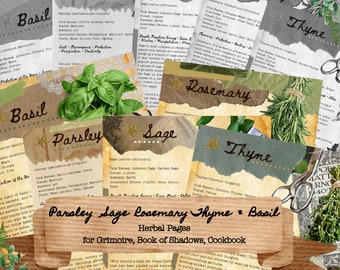 Printable Herbal Pages Vol. 1 Parsley Sage Rosemary Thyme Basil for Grimoire or Cookbook
