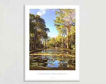 Sir Seewoosagur Ramgoolam Botanical Gardens Print - 50x70 cm / 20x28″ Framed Photography, Mauritius