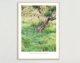 Cheetah Photography Print - Manyoni Private Game Reserve, South Africa – 50x70 cm / 20x28″ Premium Matte Paper, Wooden Frame
