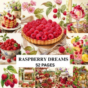 Op de afbeelding: Een collage van illustraties met frambozenthema, waaronder een taart, pannenkoeken, ijs, een kom met bessen, een drankje en een winkel, met de tekst RASPBERRY DREAMS 52 PAGES in het midden van de afbeelding.