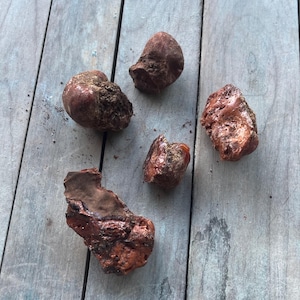 May include: Five irregularly shaped, reddish-brown objects with textured surfaces are arranged on a weathered, gray wooden surface. The objects vary in size and have a rough, organic appearance, suggesting they are natural specimens.