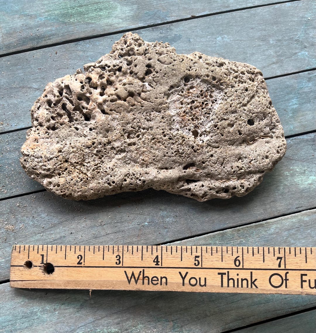 Flat Stone Sea Tumbled Atlantic Sedimentary Rock Aquarium Terrarium ...