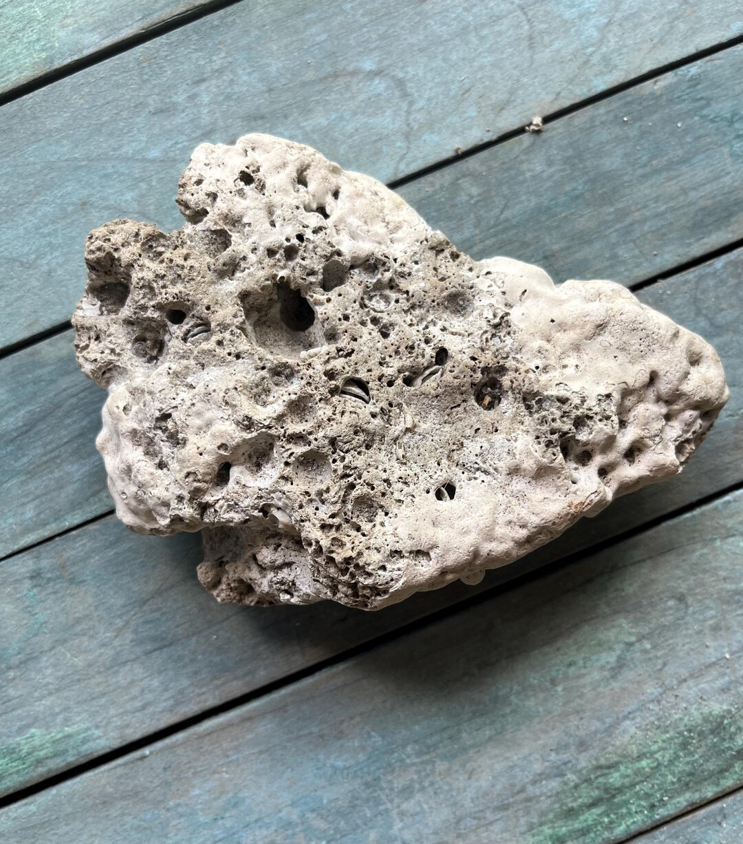 Beach Stone Sea Tumbled Atlantic Sedimentary Rock Aquarium Terrarium ...