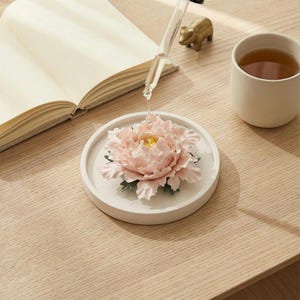 Könnte beinhalten: Eine hellrosa Pfingstrose liegt auf einem weißen, kreisförmigen Tablett. Eine Glaspipette gibt Flüssigkeit auf die Blume ab. Eine Tasse Tee und eine kleine goldene Bärenfigur befinden sich ebenfalls auf der Holzoberfläche. Ein offenes Notizbuch ist im Hintergrund.