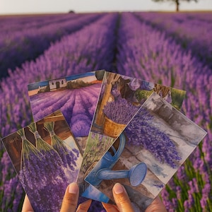 Puede incluir: Una mano sostiene un abanico de postales con escenas de campos de lavanda. Las tarjetas muestran pinturas de acuarela de plantas de lavanda moradas, una regadera azul y una granja. El fondo muestra un vasto campo de lavanda bajo un cielo de atardecer.