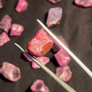 K&ouml;nnte beinhalten: Ein roher, unpolierter Rubin-Edelstein, der mit einer silberfarbenen Metallpinzette gehalten wird. Der Stein hat einen tiefen, rosaroten Farbton mit einer texturierten, kristallinen Oberfl&auml;che. Mehrere &auml;hnliche rohe Rubine sind im Hintergrund verstreut.