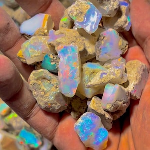 May include: A handful of rough opal gemstones, showcasing a spectrum of colors including blue, green, orange, and yellow. The opals are held in a person's hand, with the rough matrix visible.