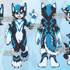 Diseño de perro lobo macho, fursona antropomórfica, personaje furry, referencia completa (hoja de referencia) perro/cachorro/lobo/perrito/macho