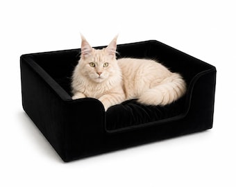 May include: A rectangular pet bed with high, padded walls upholstered in a solid black velvet fabric. The bed features a low-profile front entrance and a soft, cushioned interior base, currently occupied by a long-haired cream-colored cat.