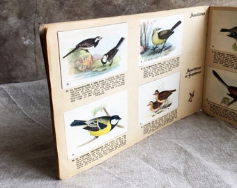 French Vintage Birds of France Sticker Album. Collectible Illustrated Natural History Booklet. Oiseaux de Nos Pays.Promotional Sticker Album